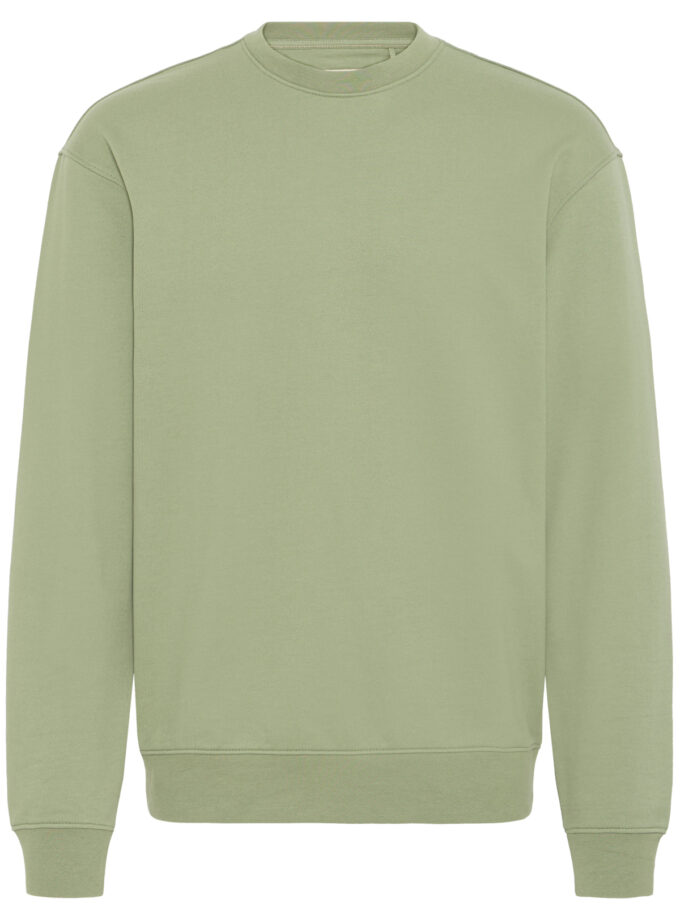 HOODIE SWEATSHIRT - GREEN
